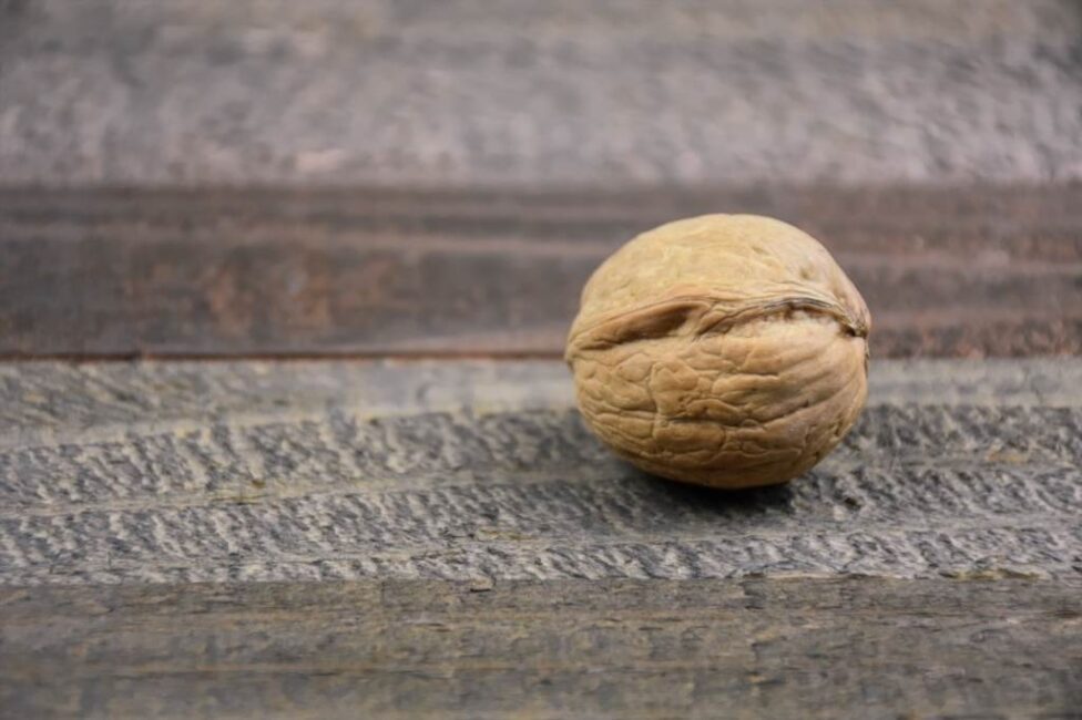 jak rozłupywać orzechy włoskie