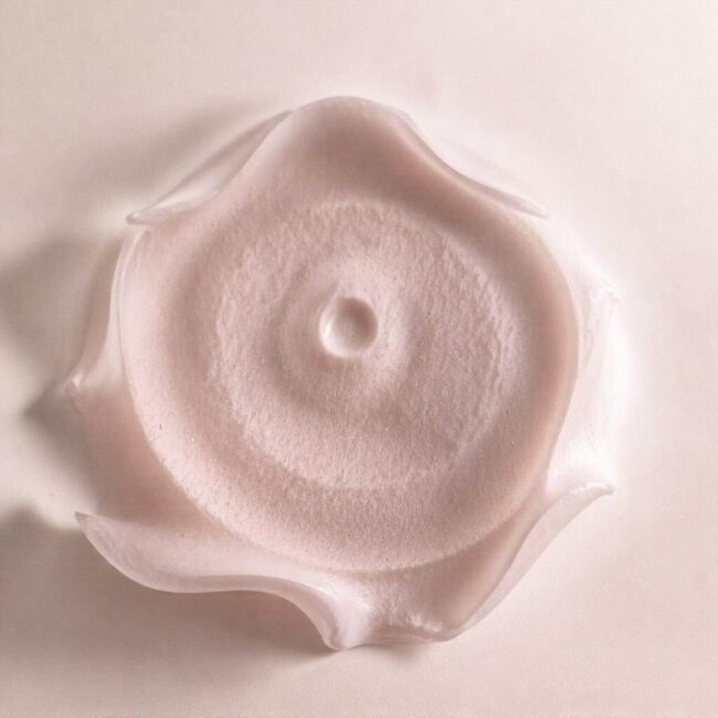 Przepisy z wykorzystaniem roślinnej śmietanki